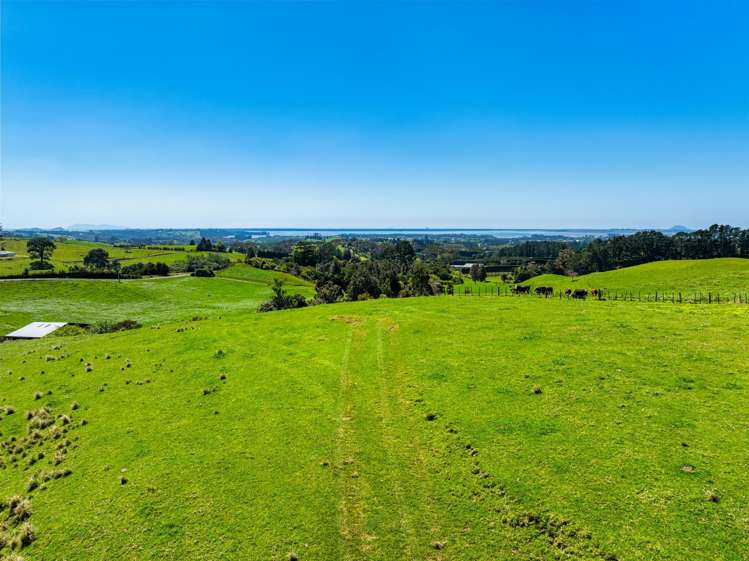 383 Busby Road Katikati_10