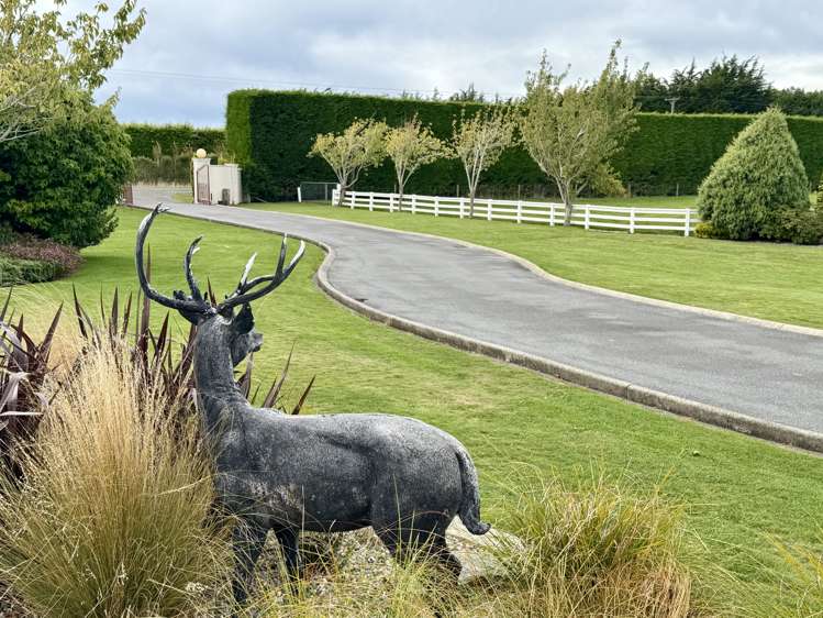 227 Drysdale Road Myross Bush_23