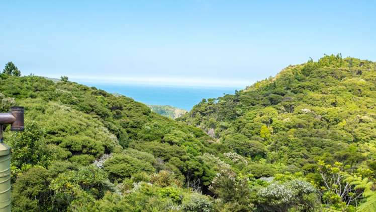 20 La Trobe Track Karekare_3