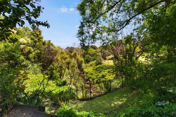 5/17 Akoranga Drive Northcote_15