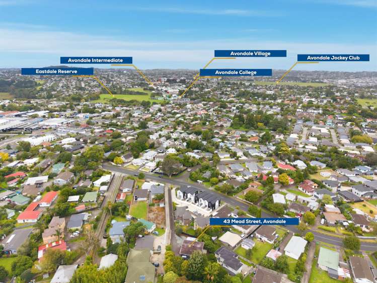 43 Mead Street Avondale_21