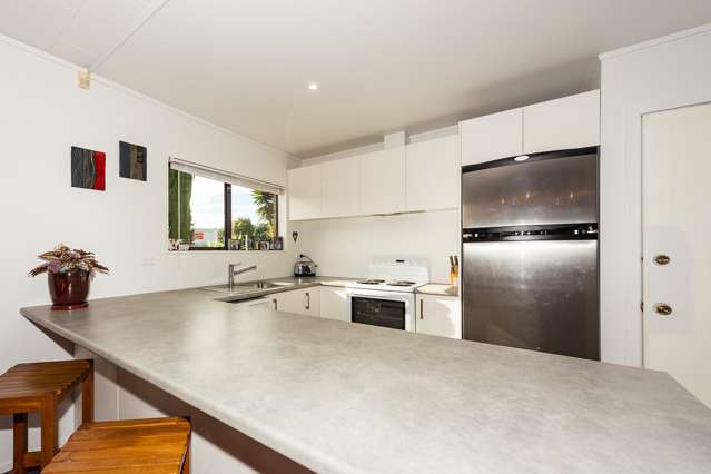 1/1 Thomas Road Flat Bush_4