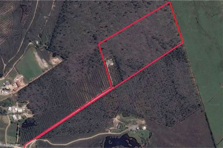 126 Birds Ferry Road Cape Foulwind_17