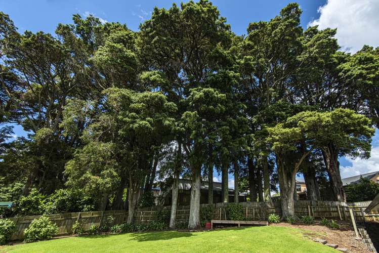 10 Bush Haven Drive Kamo_19