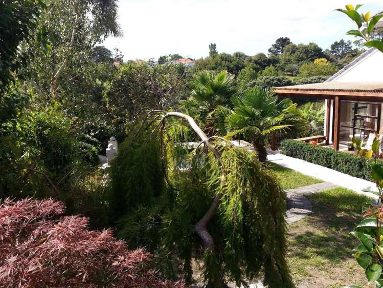 2/96 Francis Street Hauraki_5