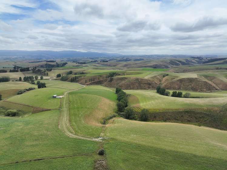 446 Skinner Road Clinton and Surrounds_21