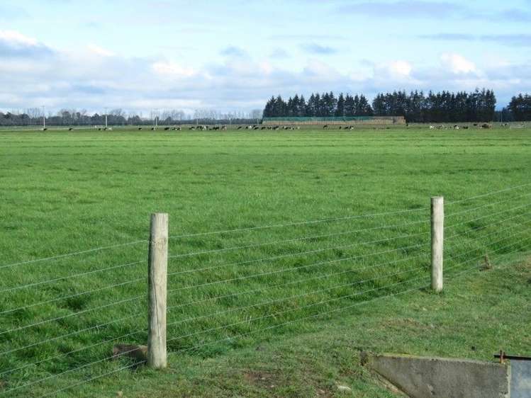 293 Hackthorne Road Carew_17