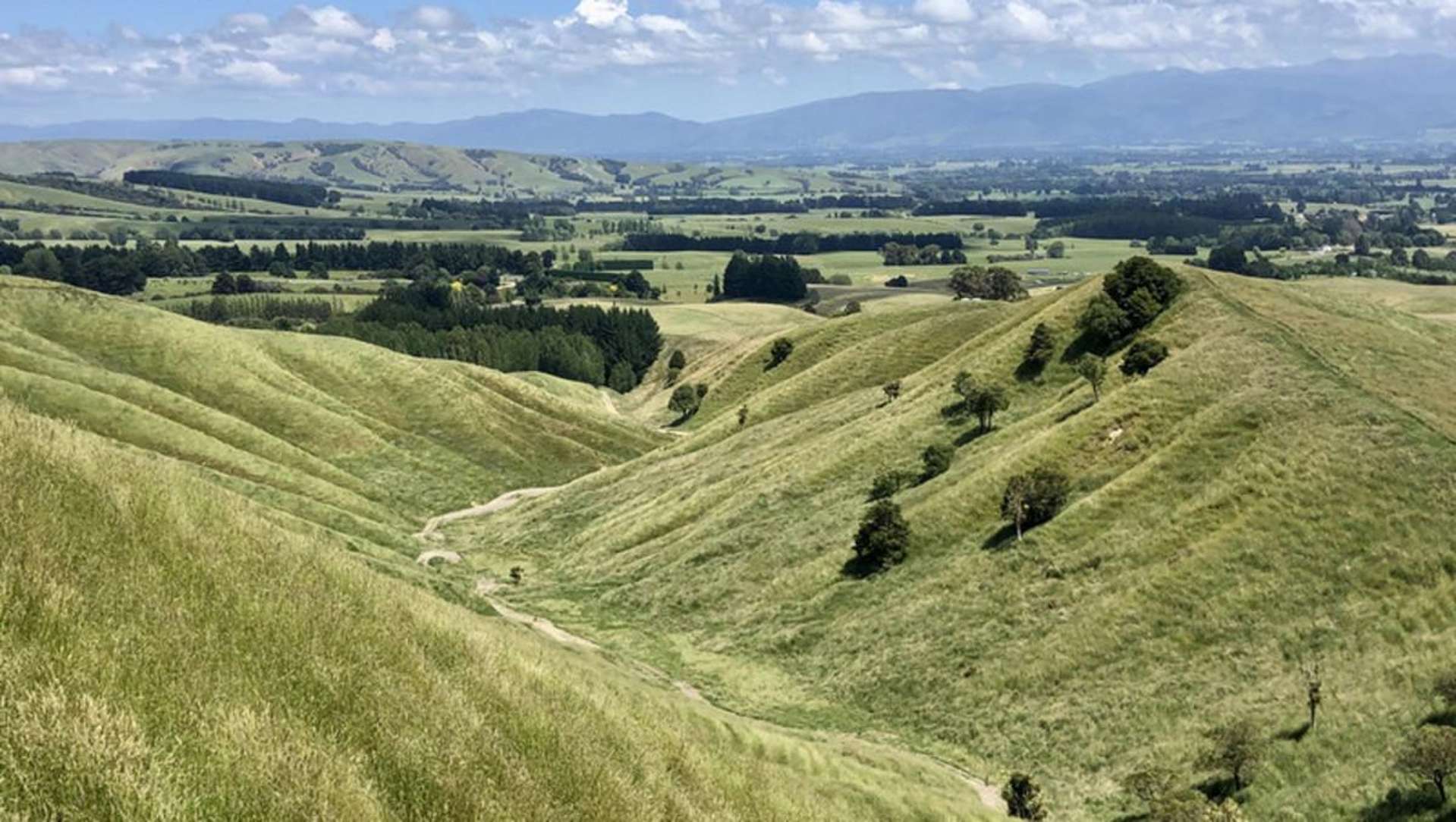 Millars Road Carterton_0