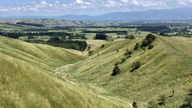 Location and Scope  - Good Clean Grazing Country
