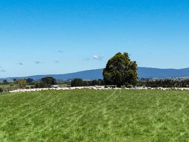 1589 Riverton Wallacetown Highway Thornbury_1