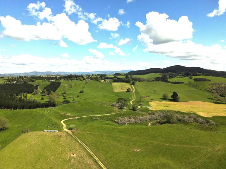 1/1745 Arapuni Road Parawera_5