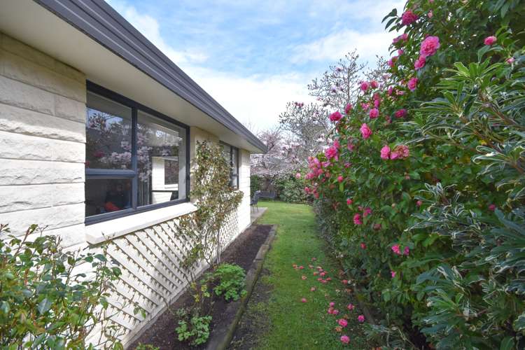 139 North Taieri Road Abbotsford_21