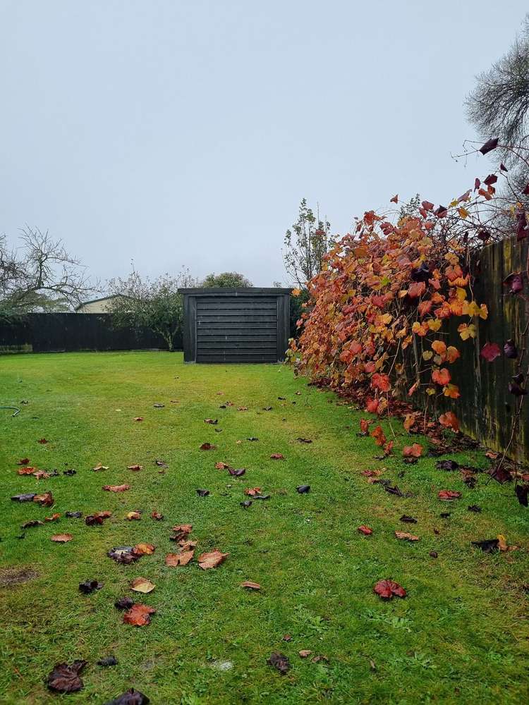 17 Kowhai Street Mangakino_15