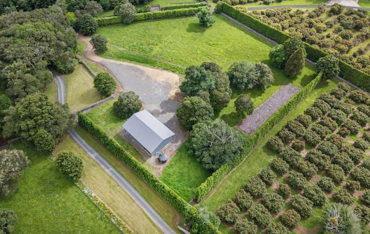 662A Ngunguru Road Glenbervie_1