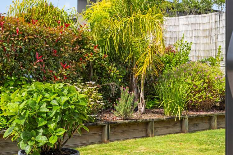 9b Tui Glen Omokoroa_12