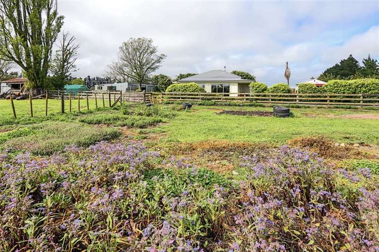 1096 Ashcott Road Rangitikei Surrounds_9