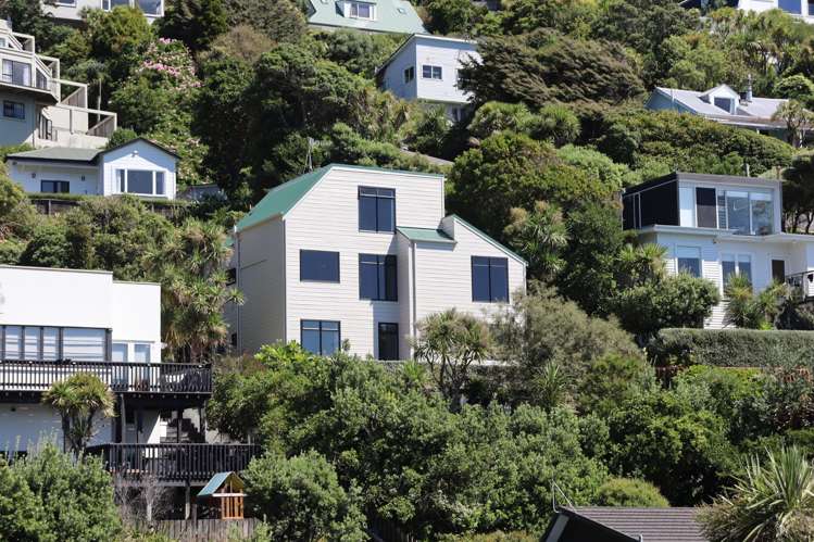 108b Maida Vale Road Roseneath_24