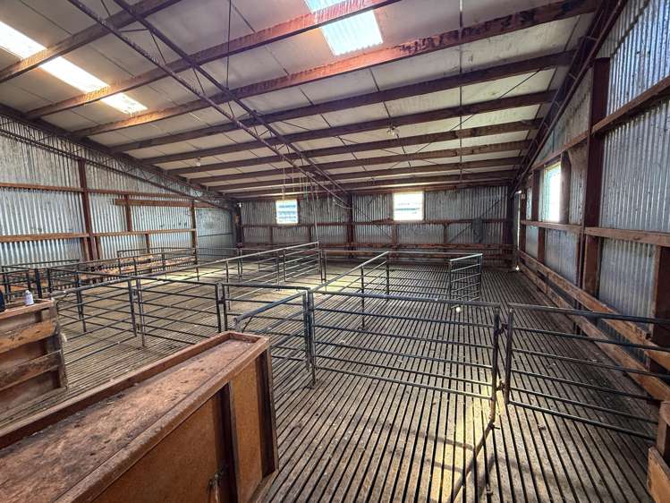 125B Davidson Road Mimihau_16