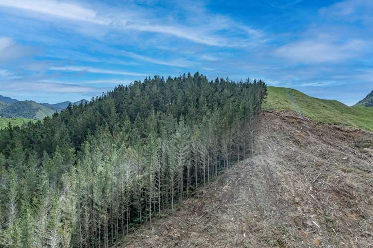 Lots 2-4, 14, 15, DP 9115 Motu Road Matawai_3