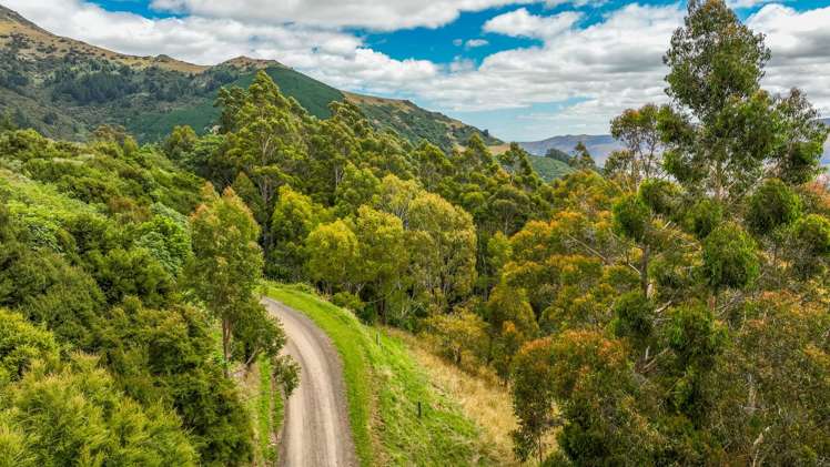 306 Reynolds Valley Road Little River_41