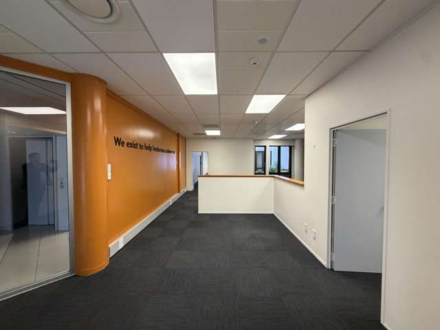 19&23-25 Bower Street Napier South_2
