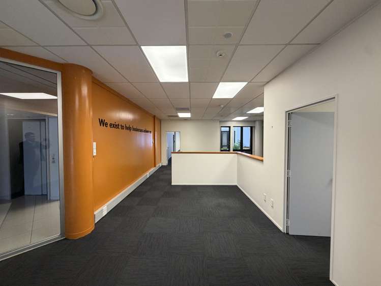 23 - 25 Bower Street Napier South_5