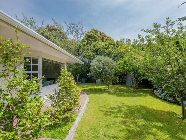 6a David Street Waikanae_1