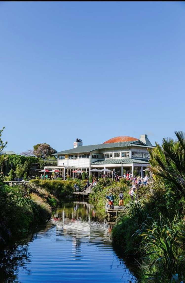 33 Ella Anne Crescent Warkworth_9