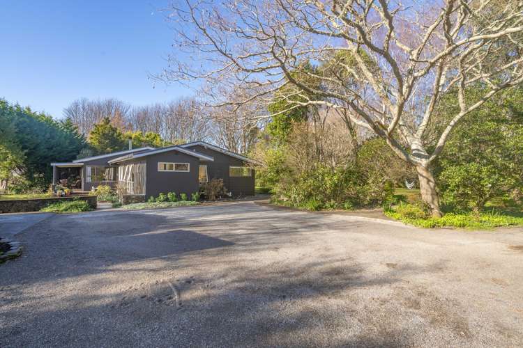 61 Udy Street Greytown_30