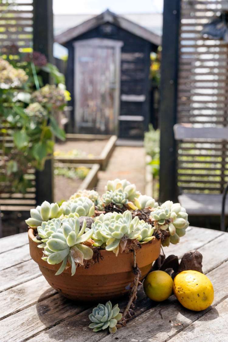 151 Peachgrove Road Hamilton East_18