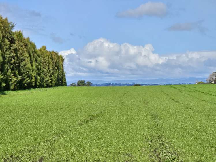 134a Athenree Road Athenree_7