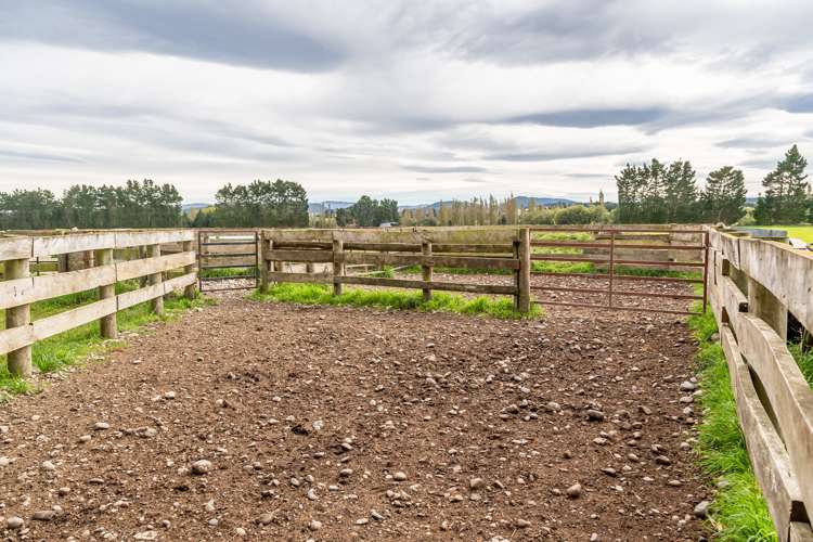 Rockwood Road Hororata_10