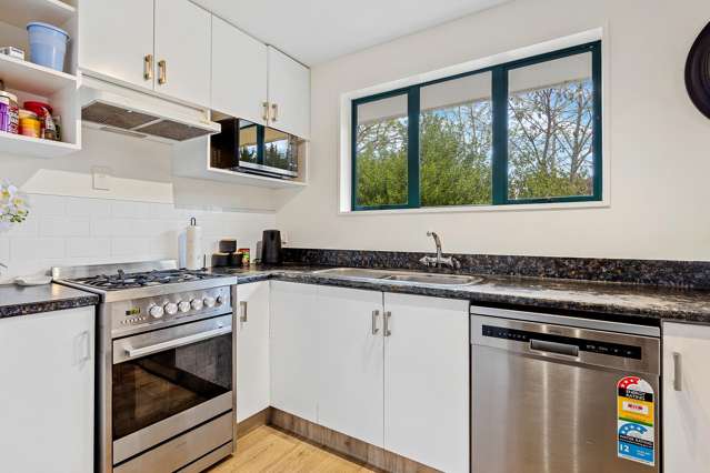 12 Smarts Drive Leithfield_3