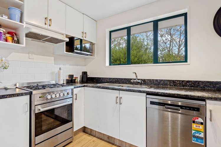 12 Smarts Drive Leithfield_3