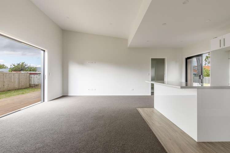 23A Guy Street Dannevirke_10