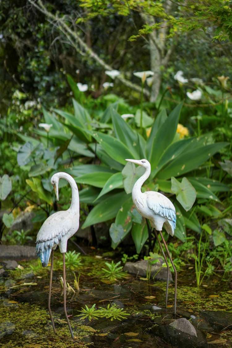 28 Parkhurst Road Helensville_16