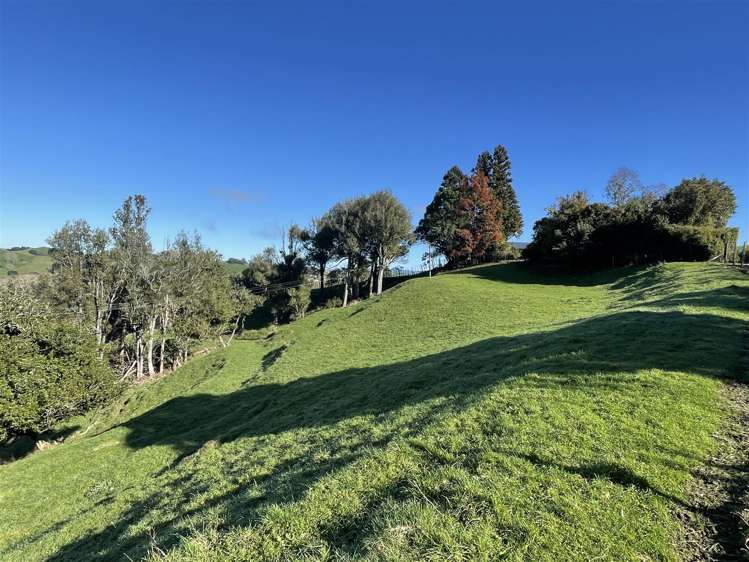 80a Mangaotaki Road Piopio_45