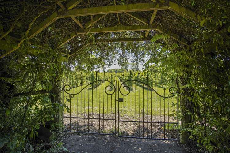 45 Lansdowne Road Appleby_16