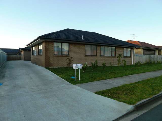 76a Gibson Road Tuakau_2