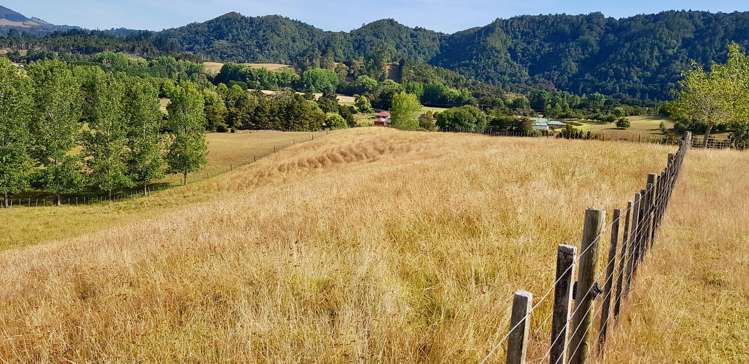 47 Tavinor Road Otaika_5