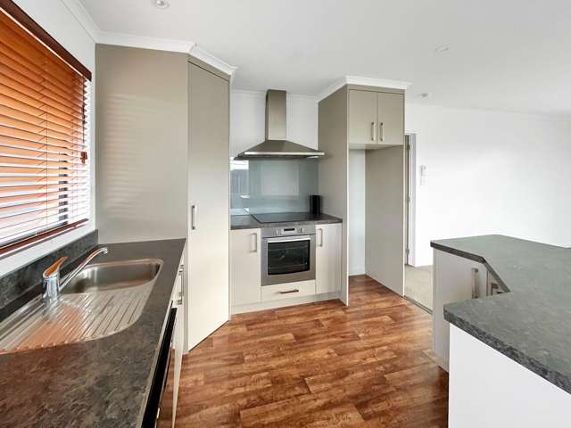 116 Thomson St Tinwald_2