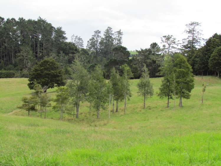 300 Gumtown Road Kamo_10