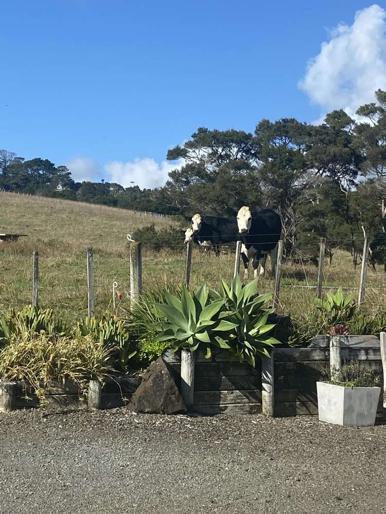 36 Tram Valley Road Swanson_24