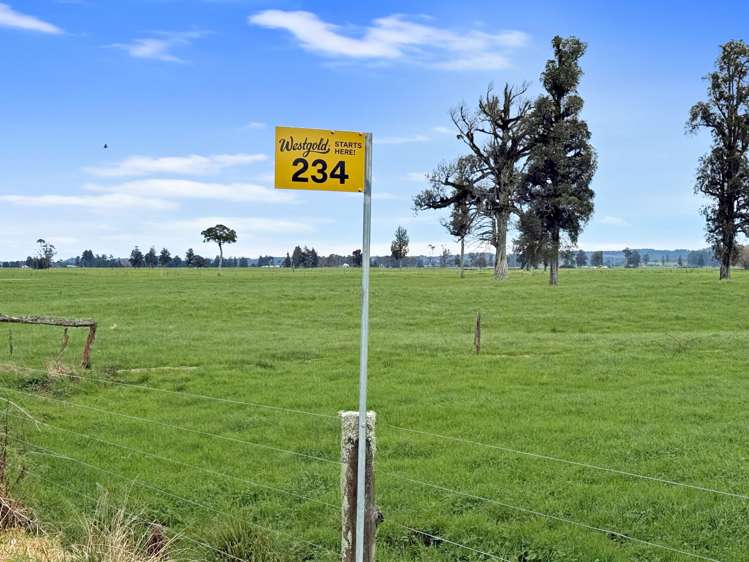 192-306 Johnston Road Kowhitirangi_29