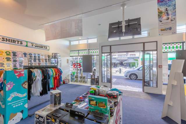 182 Emerson Street South Napier South_3