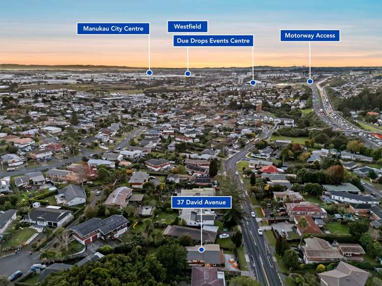 37 David Avenue Hillpark_33