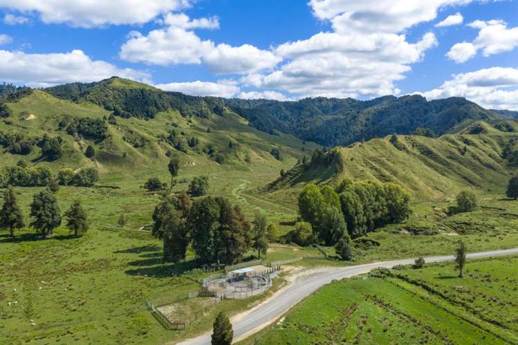 1221 Waitewhena Road Taumarunui_15