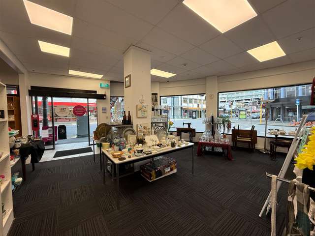 217 High Street Hutt Central_2