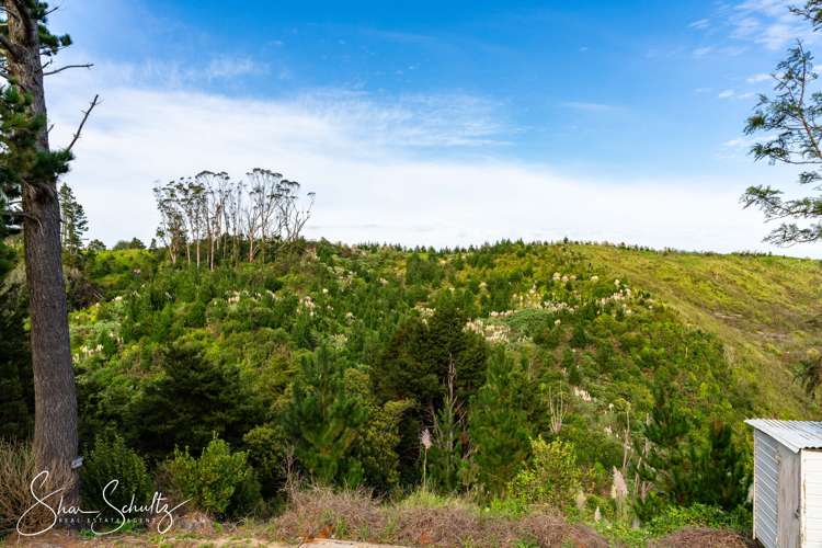 800 Bickerstaffe Road Maungaturoto_25