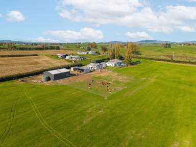 395 Kiwitahi Railway Road_1